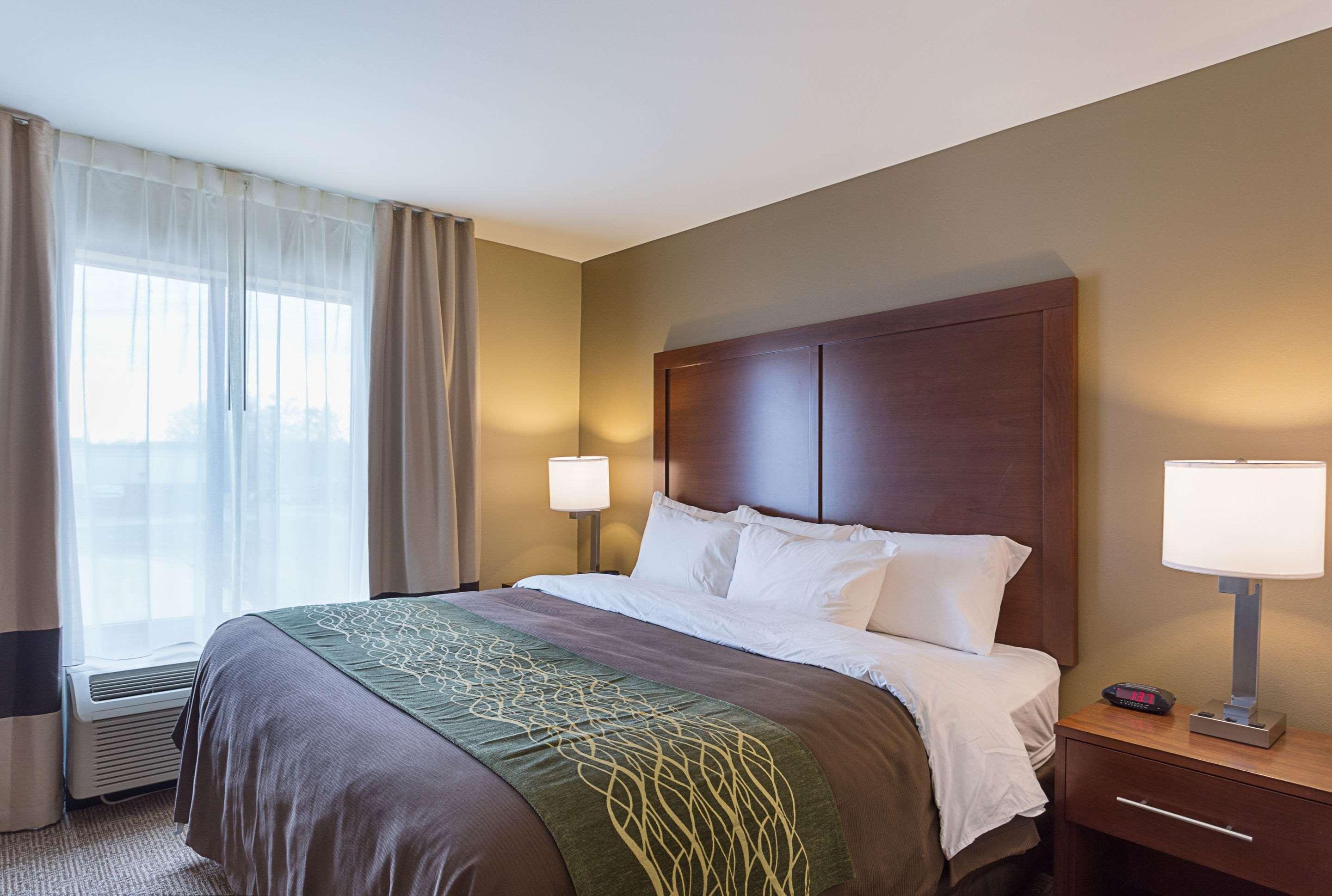 Comfort Inn&Suites Zachary Zewnętrze zdjęcie