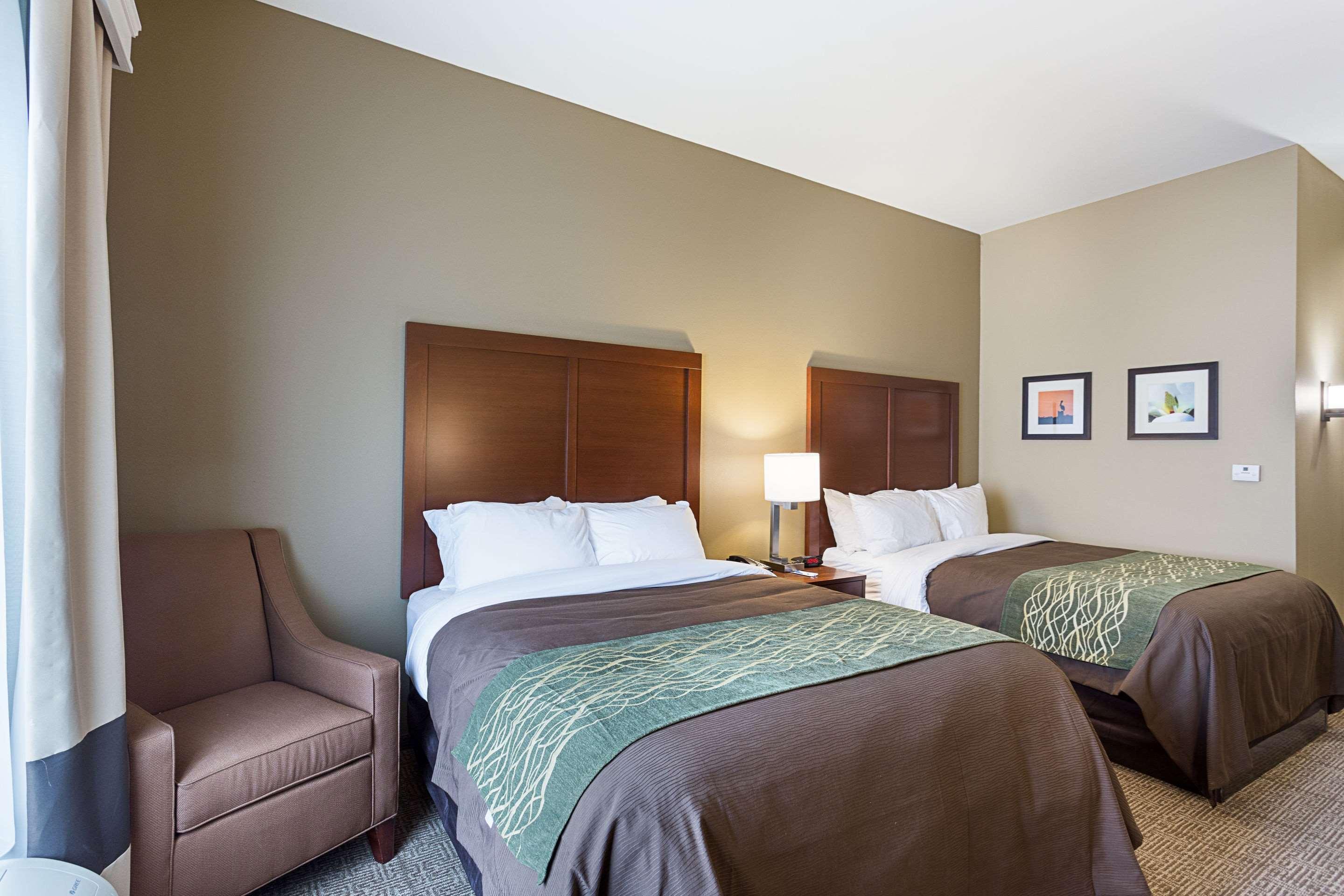 Comfort Inn&Suites Zachary Zewnętrze zdjęcie